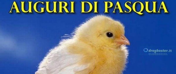 Auguri di Buona Pasqua gratis copertina per facebook