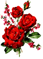 fiori_rose_rosse