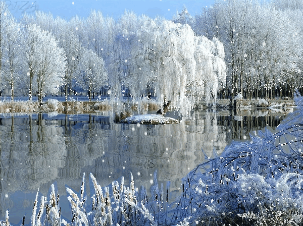 lago con paesaggio nevoso
