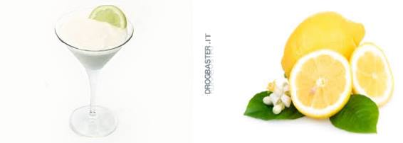 ricetta sorbetto al limone