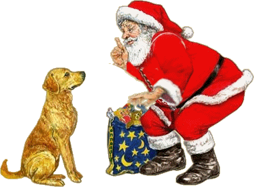 http://www.drogbaster.it/speciale-natale/e_cane.gif