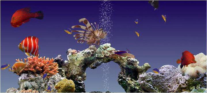 Aqua Real Screensaver con pesci