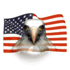 bandiera americana aquila