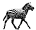 gif animata zebra