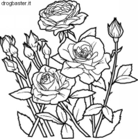 colora la composizione di fiori con rose