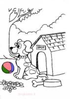 cane che gioca con la palla da colorare