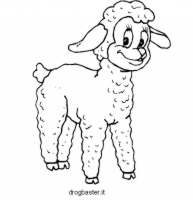 Pecorella da colorare