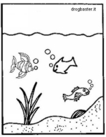 aquario con pesciolini