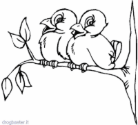 due uccelli sul ramo