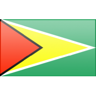 Nel 1966 raggiunta l´indipendenza dalla Gran Bretagna la Guyana adottò questa bandiera