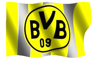 Bandiera Borussia Dortmund