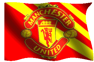 Bandiera Manchester United
