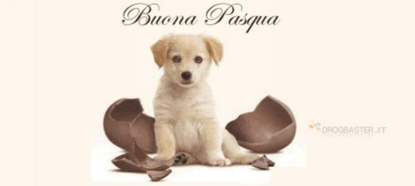 cover copertina gratis con cucciolo di cane e cioccolato