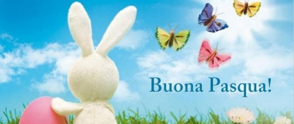 copertina facebook con farfalle, fiori e coniglio di pasqua