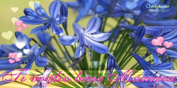 Festa della mamma gratis copertina con Fiori e scritta Ti volgio bene