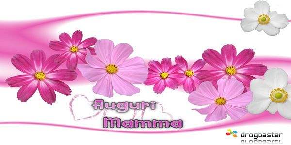 Copertina gratis per la festa della mamma decorata con fiori e scritta Auguri