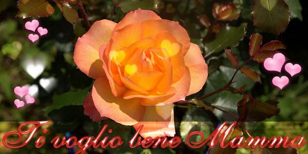Ti Voglio bene Mamma copertina per Auguri con scritta