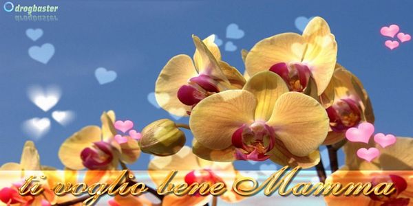Cover decorate per facebook e Google Plus