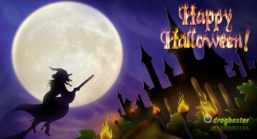 cover con luna strega e castello incantanto con scritta