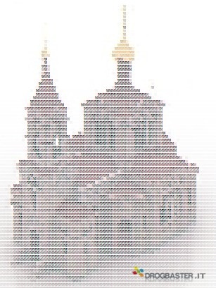meraviglie del mondo realizzata in ascii art
