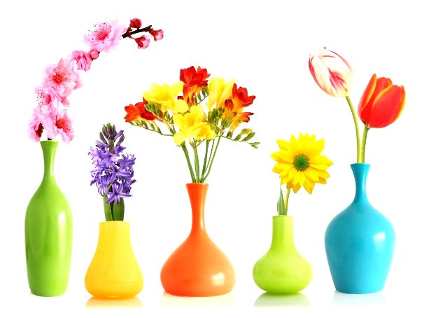 Vasi colorati con tanti fiori