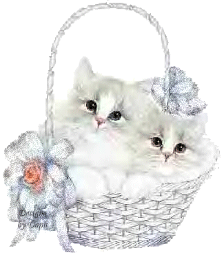 gattini bianchi nel cesto decorazione per la festa della mamma