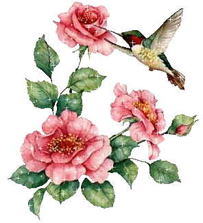 colibri in volo con fiori