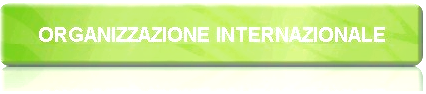 Scritta Organizzazioni Internazionali
