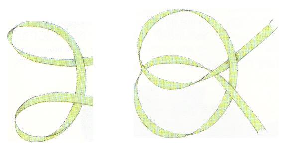 legatura per immobilizzare il muso di un cane