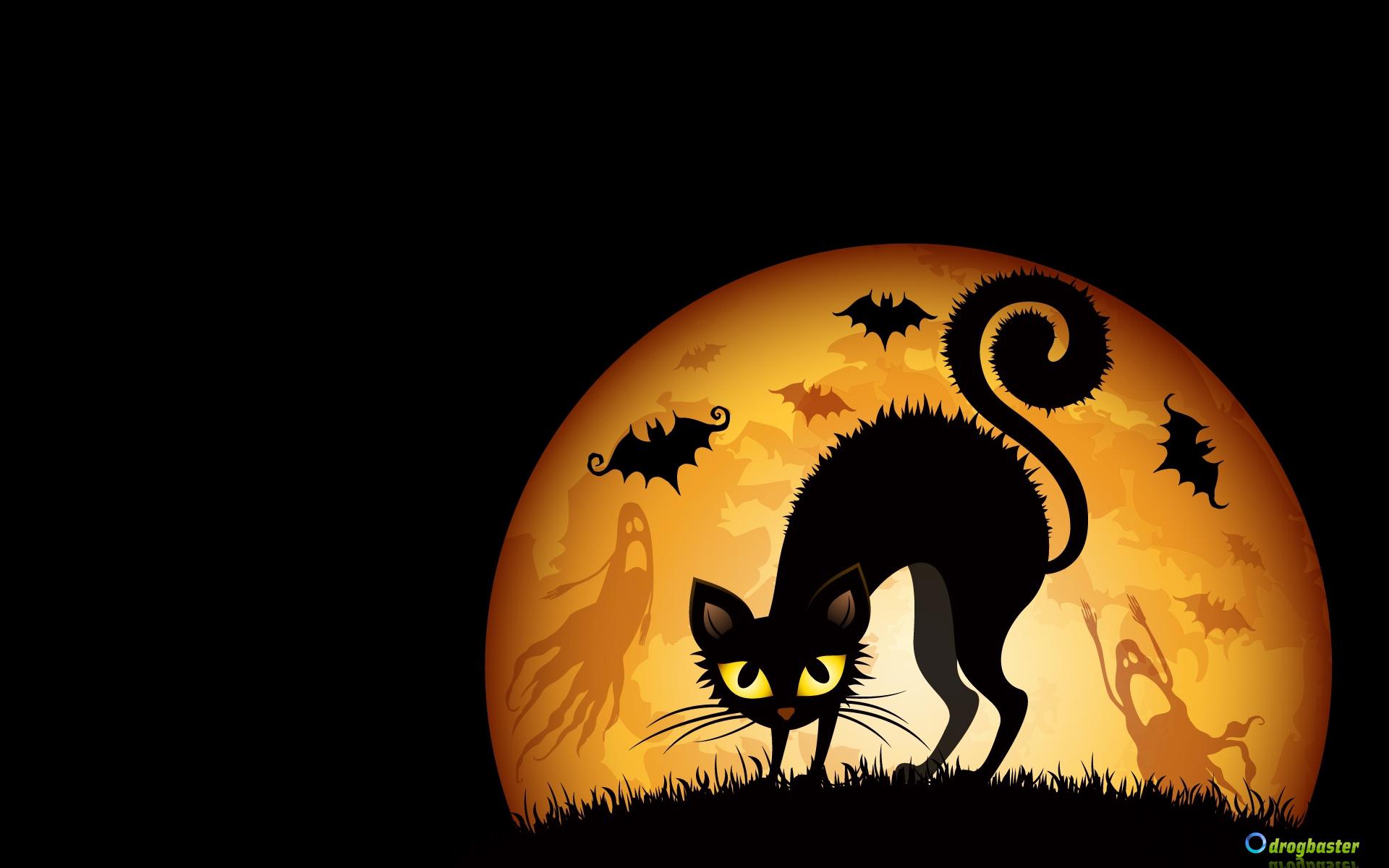 Sfondi per la festa di halloween per computer e cellulare