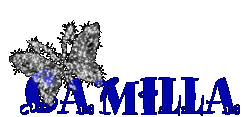 nomi personali glitterati camilla