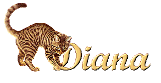 nome scritta diana
