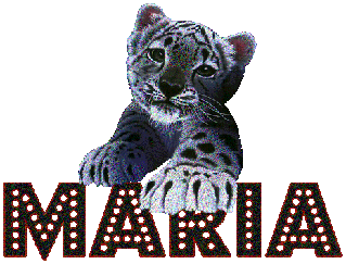 immagini glitterate maria