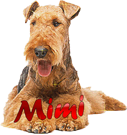 Scritte nomi femminili mimi