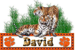 david