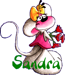 immagine sandra