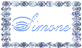 immagine glitter simone