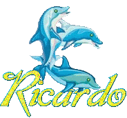 ricardo Nome maschile