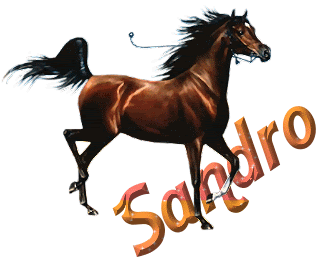 immagine animata sandro