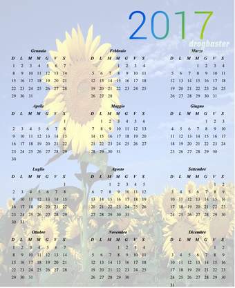 Calendario Annuale 2017 in formato Jpeg