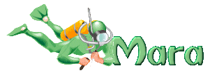 nomi animati femminili mara