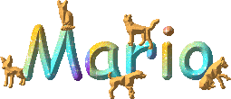 scritta mario