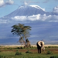 Kilimanjaro meraviglie della natura