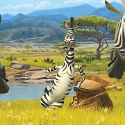 Zebra From Madagascar