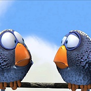 birds cartoon wallpaper