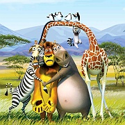 Madagascar famiglia