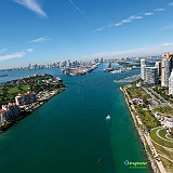 Miami mare
