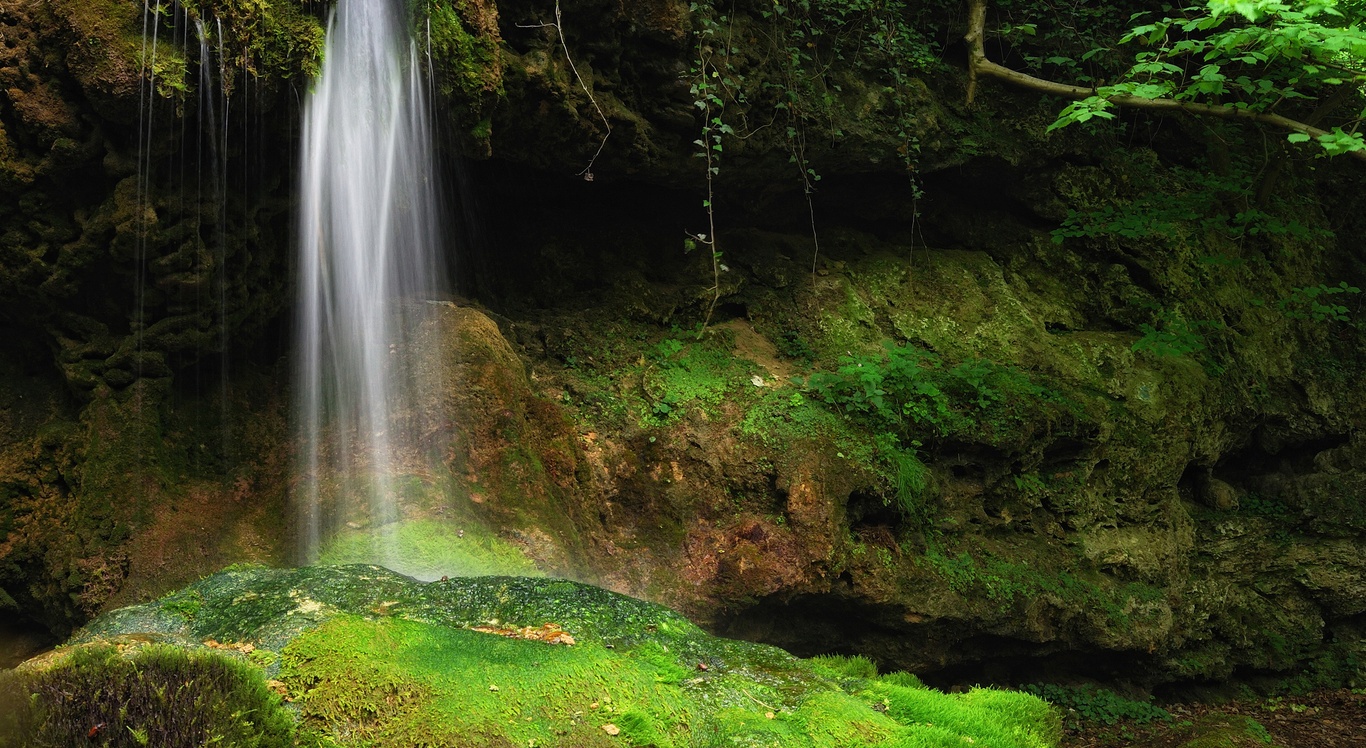 Sfondi e wallpaper gratis, immagini natura