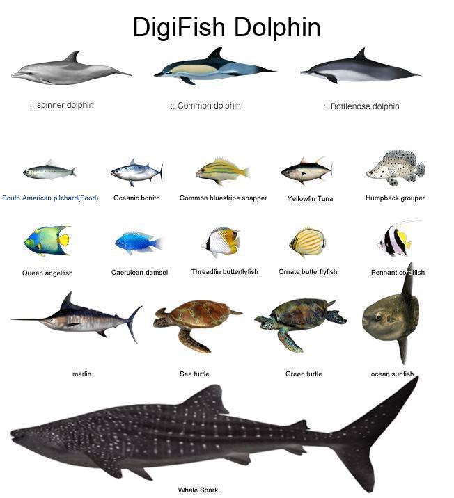 Specie dei pesci presenti DigiFish Dolphin