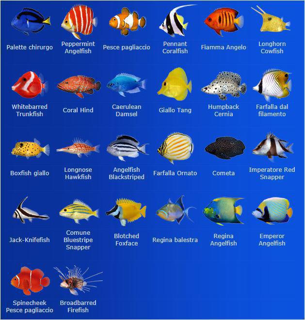 Specie dei pesci presenti Aqua Real